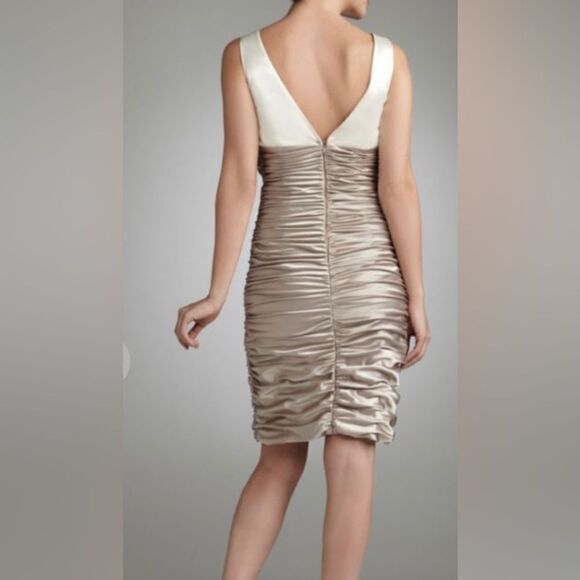 David’s Bridal two toned all over ruched stretch satin cocktail dress - Picture 4 of 9